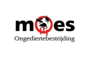 moes